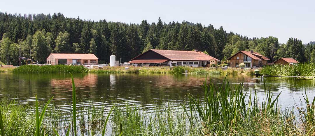 Fischereilicher Lehrbetrieb in Lindbergmühle (Foto: Bezirk Niederbayern)