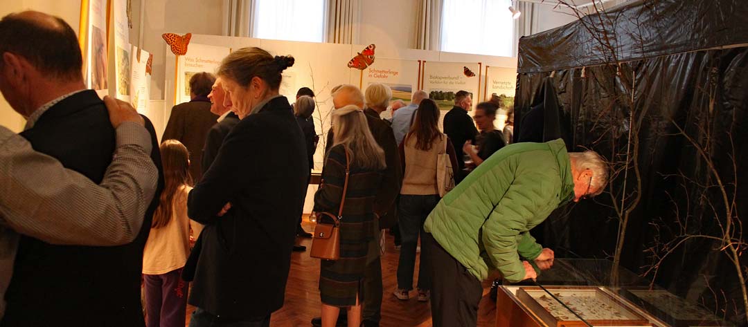 Viele Besucher am ersten Tag der „VielFalter im Biotopverbund Mainburg“ Ausstellung im Stadtmuseum. (Foto: Hermann Pauly)