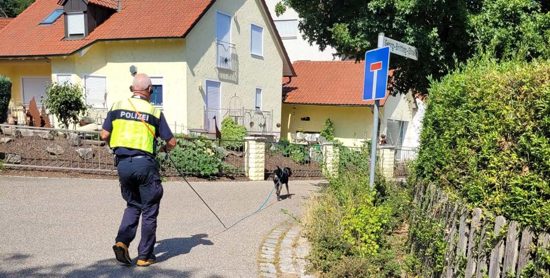Polizeihauptkommissar Meyerhofer mit Diensthund Sesto bei der Suche (Foto: ZED Regensburg)