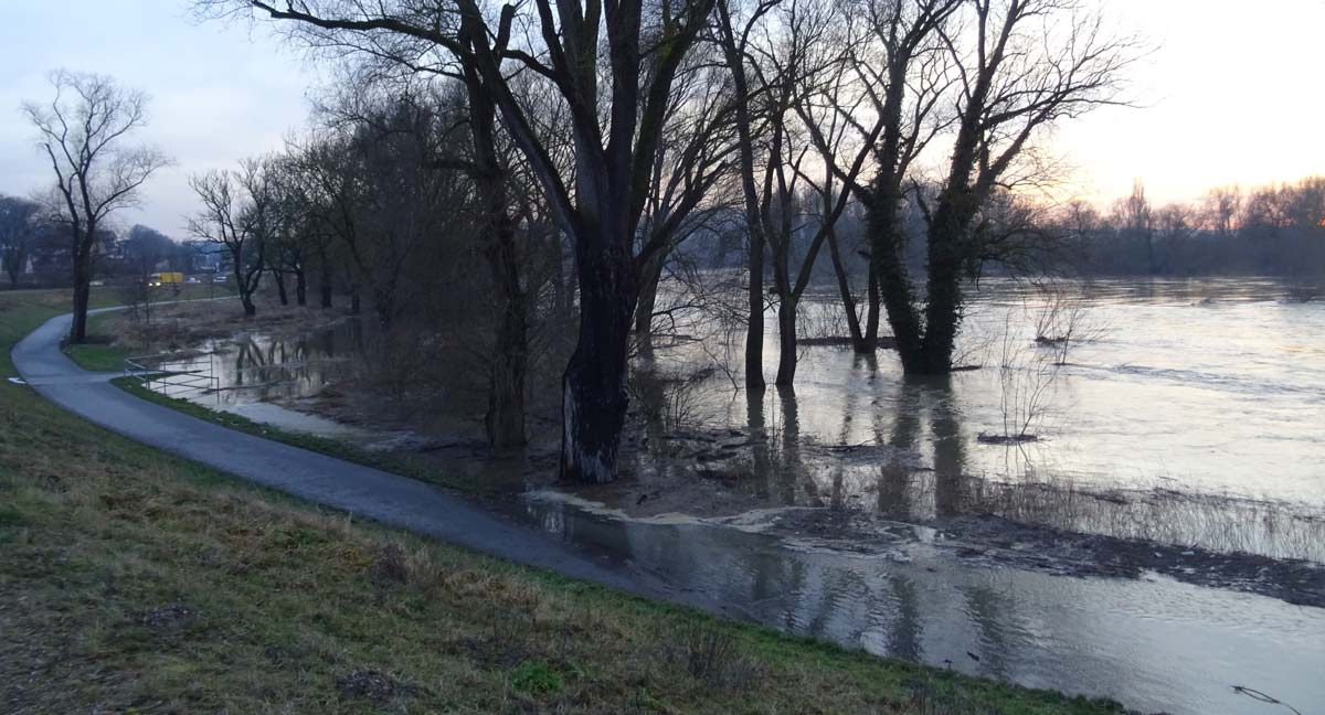 Der Donauradweg ist teilweise schon überflutet (Foto: Andreas Schambeck)