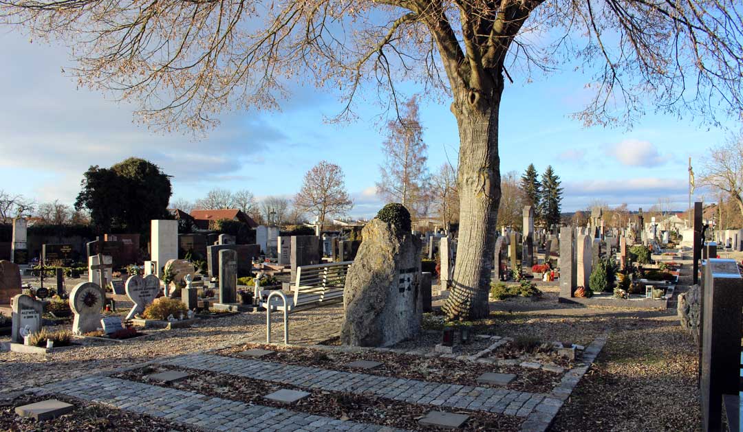 Direkt unter einer großen Linde werden zukünftig auch Baumbestattungen im Friedhof möglich sein (Foto: Ingo Knott/Stadt Abensberg)