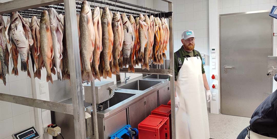 Über 100 Fische (Saiblinge und Weißfische) sind für den Räuchervorgang vorbereitet. Der Auszubildende Simon Krumpenthaler beteiligte sich ebenfalls aktiv am Kursgeschehen.  (Foto: Parsche/Bezirk Niederbayern)